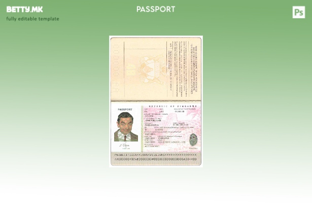 Шаблон за пасош на Зимбабве во модерен стил